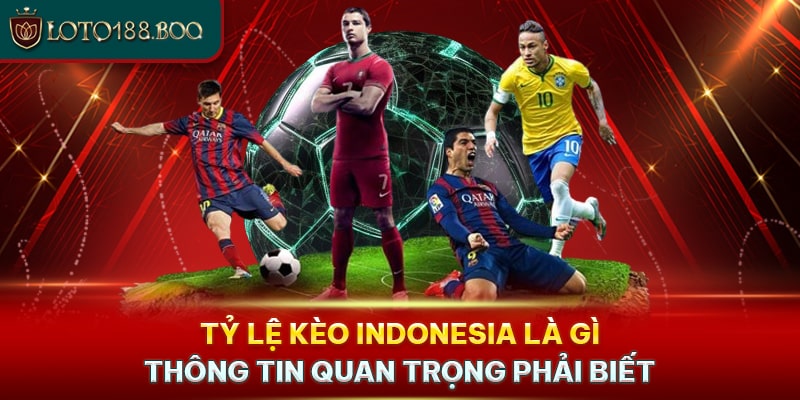 Tỷ Lệ Kèo Indonesia Là Gì - Thông Tin Quan Trọng Phải Biết